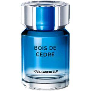 Karl Lagerfeld Bois De Cedre Men EDT 50 ml (U)