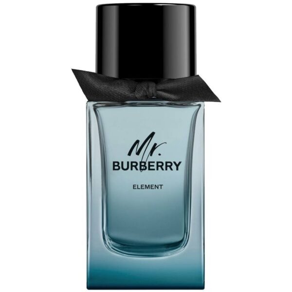 Burberry Mr Burberry Element EDT 100 ml
