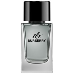 Burberry Mr. Burberry For Him EDT 100 ml